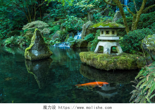 灯笼和锦鲤在俄勒冈州的波特兰日本花园日本旅游